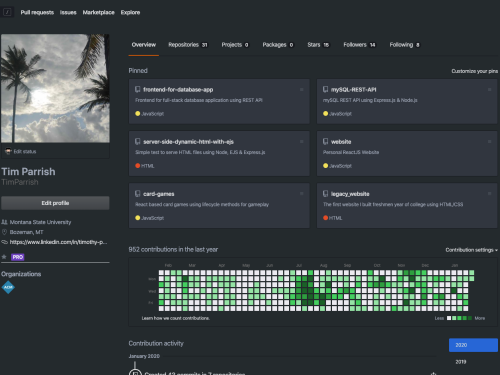 image of GitHub profile screen